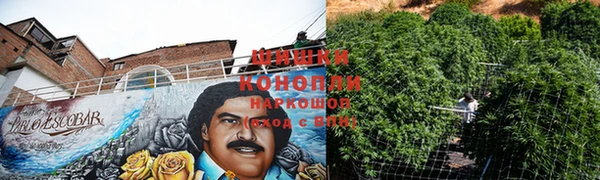 мдпв Киреевск
