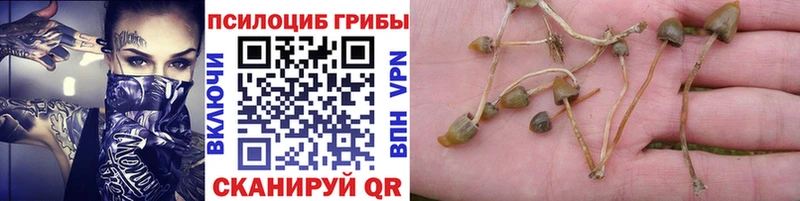 Псилоцибиновые грибы прущие грибы  OMG tor  Ачинск 